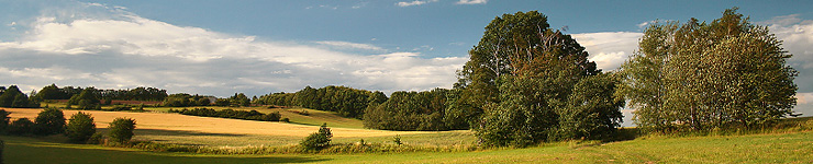 Úvodní stránka | Region Opavsko (Foto: Pavel Szabo)